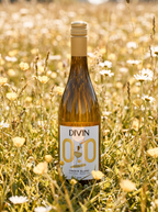 DIVIN Chenin Blanc Alcohol Free White Wine 0.0% 750ml DIVIN