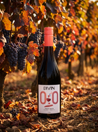 DIVIN Pinot Noir Alcohol Free Red Wine 0.0% 750ml DIVIN
