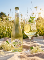 Käfer Hugo Alkoholfrei Alcohol Free Elderflower Sparkling Mocktail 750ml Käfer